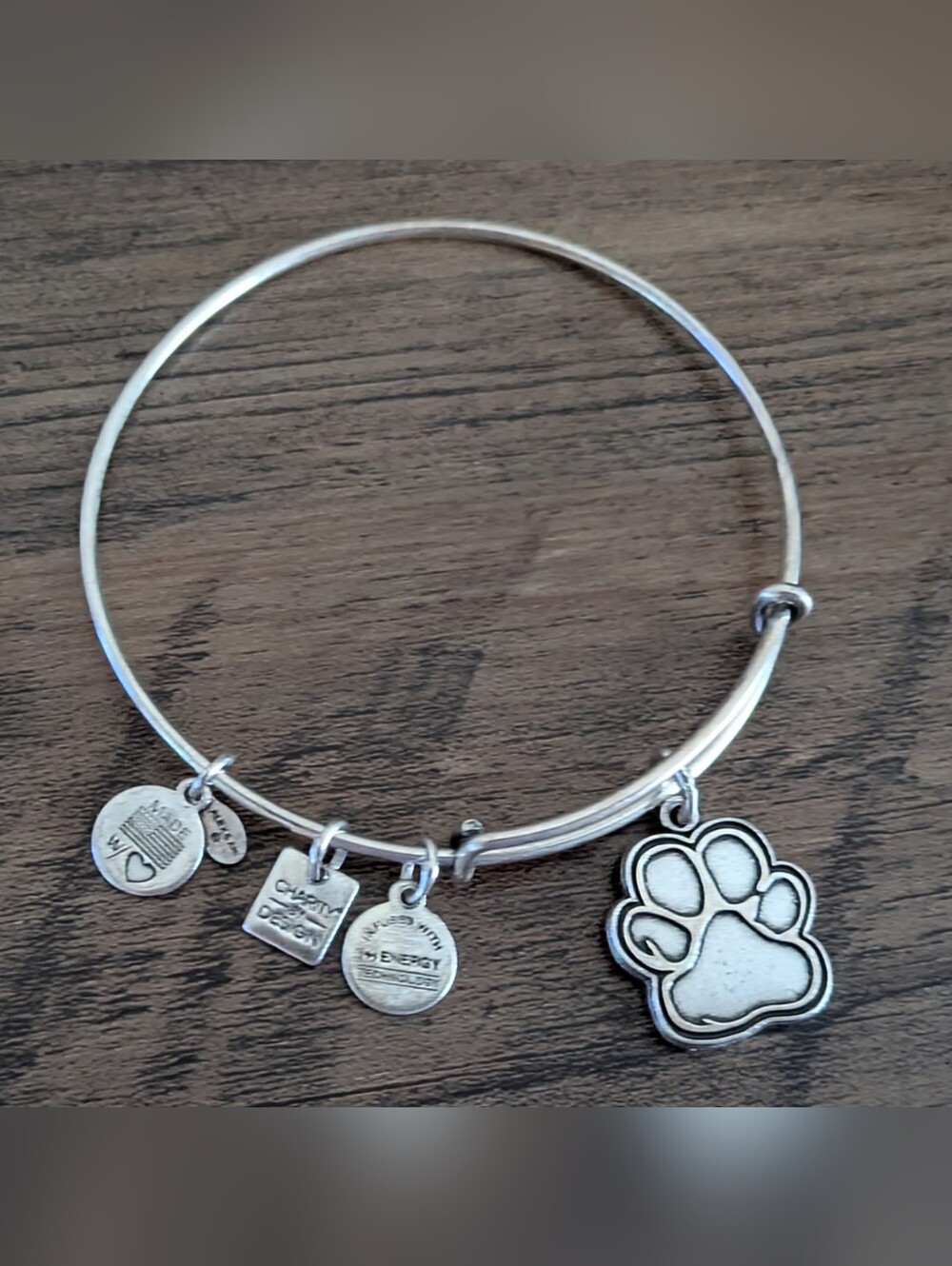 Silver Paw Print Charm Bangle Bracelet Alex and Ani